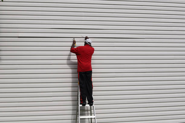 Best Custom Trim and Detailing for Siding  in Prudenville, MI