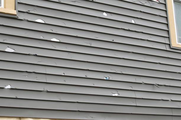 Best Siding for New Construction  in Prudenville, MI
